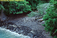 rocky beach